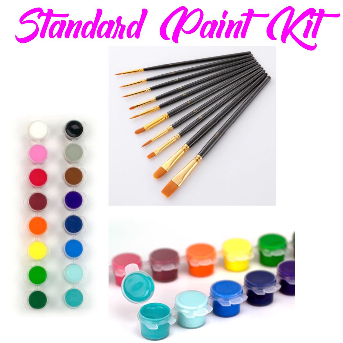 Standard Paint Kit 